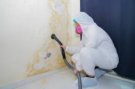 Mold Documentation for Insurance Claims in Lauderdale Lakes, FL